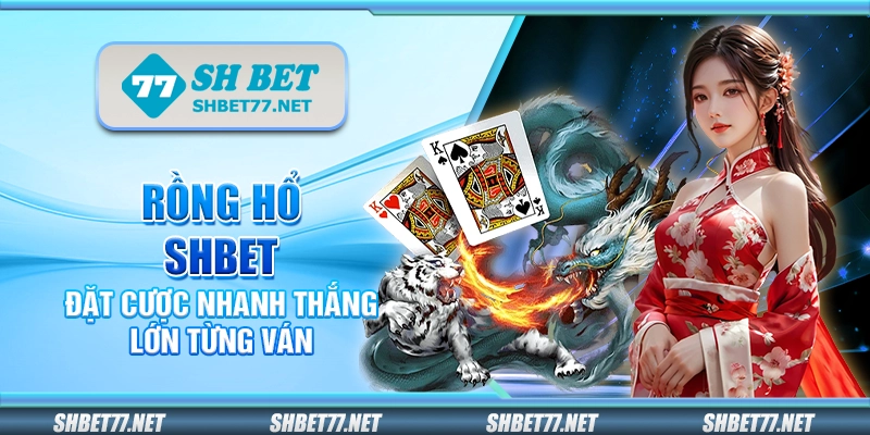Rồng hổ Shbet – Đặt cược nhanh thắng lớn từng ván