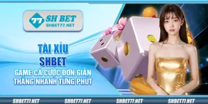 Tài xỉu Shbet – Game cá cược đơn giản thắng nhanh từng phút