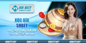 Xóc đĩa Shbet – Trò chơi dân gian đổi thưởng cực nhanh