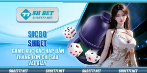 Sicbo Shbet – Game xúc xắc hấp dẫn thắng lớn chỉ sau vài giây