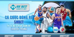 Cá cược bóng rổ Shbet - Tỷ lệ kèo hấp dẫn dễ chơi dễ trúng