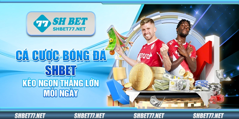Cá cược bóng đá Shbet – Kèo ngon thắng lớn mỗi ngày