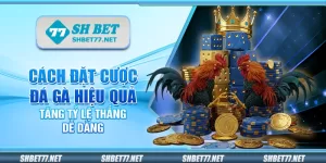 Cách đặt cược đá gà hiệu quả – Tăng tỷ lệ thắng dễ dàng