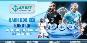 Cách đọc kèo bóng đá - Từ cơ bản đến nâng cao trong 10 phút