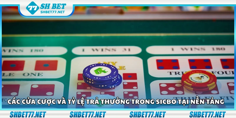 Các cửa cược và tỷ lệ trả thưởng trong Sicbo tại hệ thống