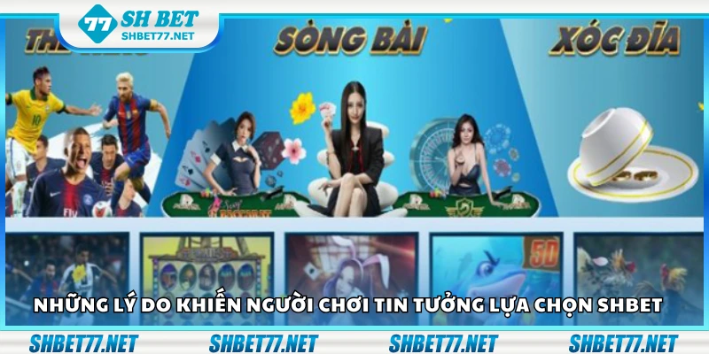 Các lý do khiến người chơi tin tưởng lựa chọn Shbet