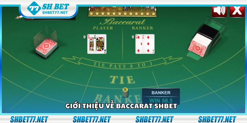 Đôi nét về Baccarat Shbet