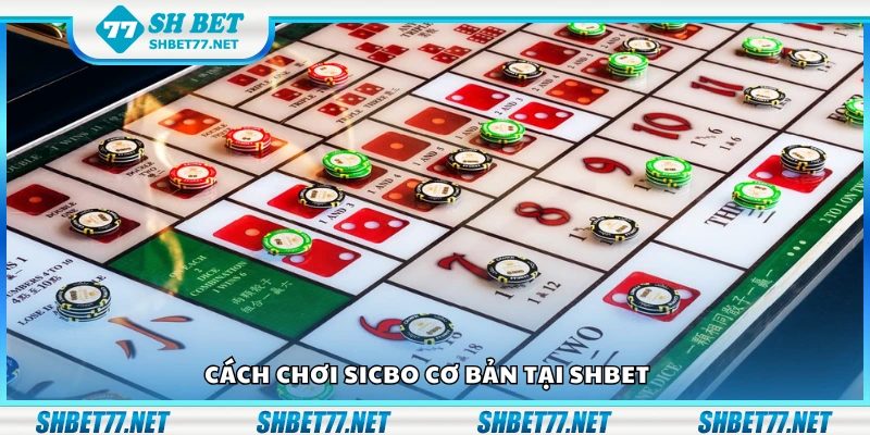 Hướng dẫn chơi Sicbo cơ bản tại Shbet