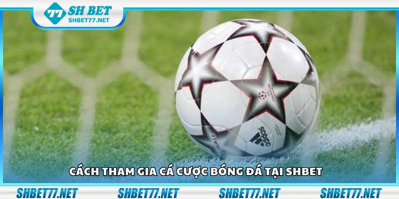 Hướng dẫn tham gia cá cược bóng đá tại Shbet