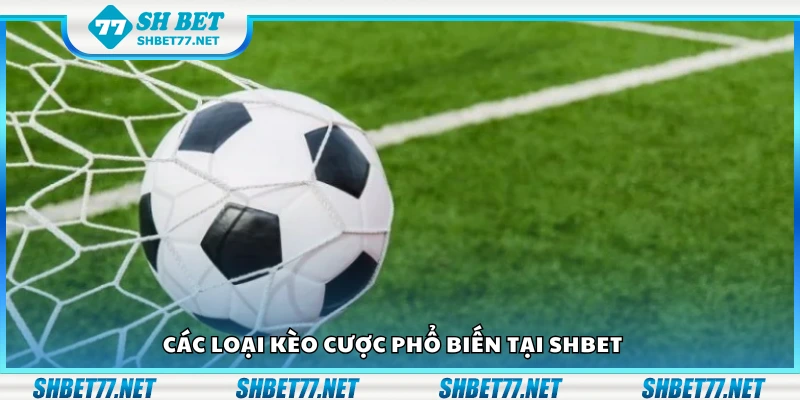 Khám phá các loại kèo cược phổ biến tại Shbet