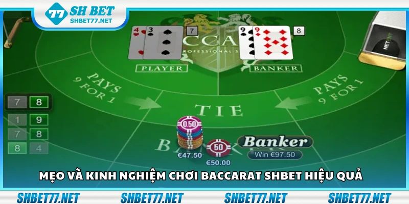 Mẹo và kinh nghiệm chơi Baccarat Shbet hiệu quả