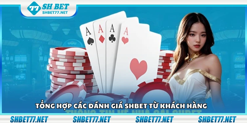 Một số đánh giá Shbet từ khách hàng