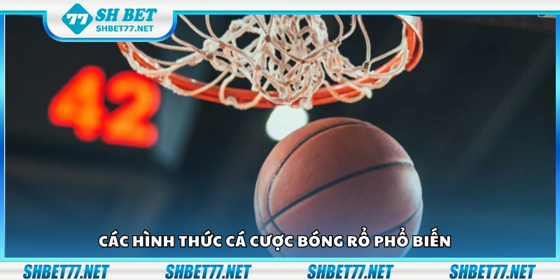 Một số hình thức cá cược bóng rổ phổ biến