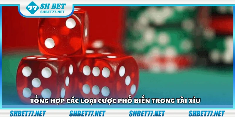 Một số loại cược phổ biến trong tài xỉu