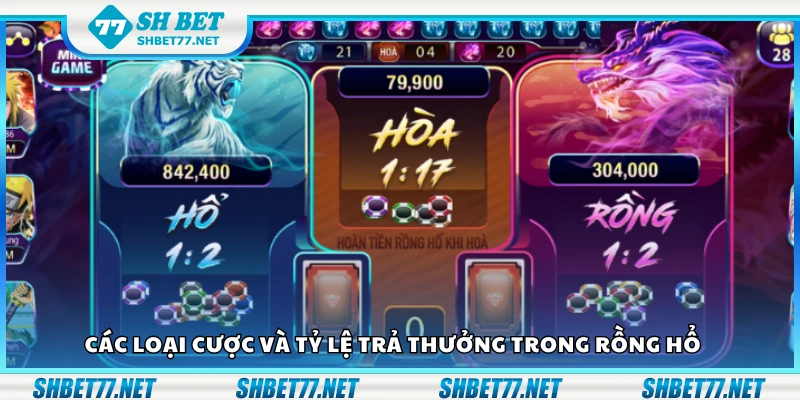 Một số loại cược và tỷ lệ trả thưởng trong rồng hổ