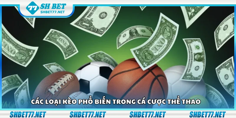 Một số loại kèo phổ biến trong cá cược thể thao