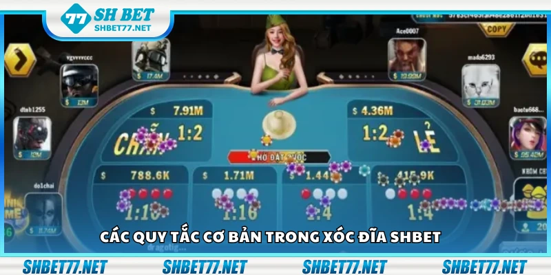 Một số quy tắc cơ bản trong xóc đĩa Shbet