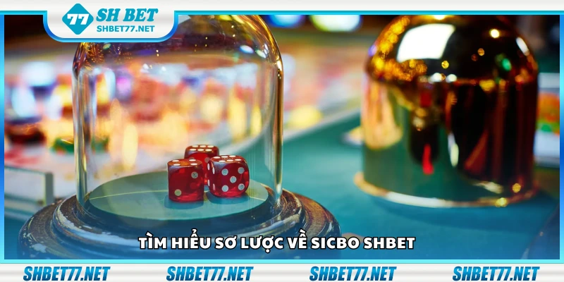 Sơ lược về sicbo Shbet