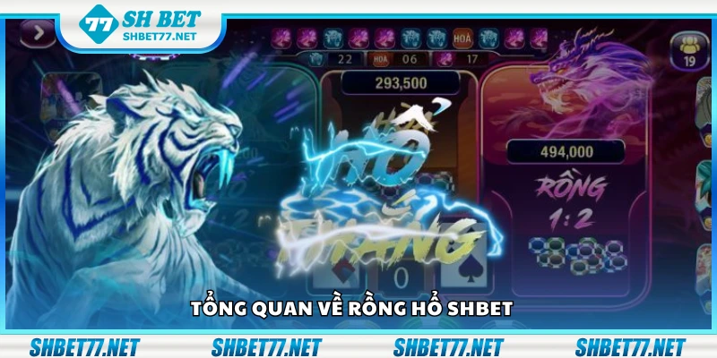 Tìm hiểu về rồng hổ Shbet