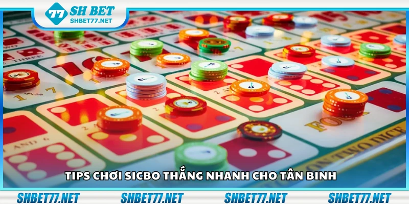 Tips chơi sicbo thắng nhanh cho tân binh
