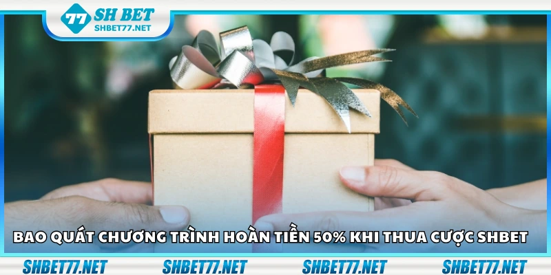 Tổng quan chương trình hoàn tiền 50 phần trăm khi thua cược Shbet