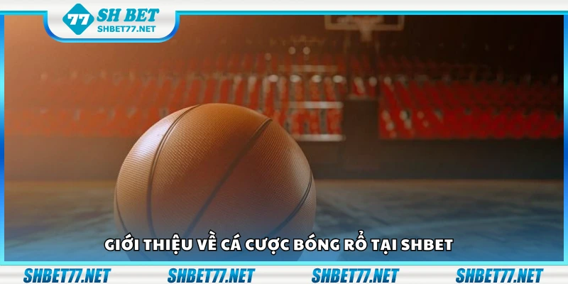 Vài nét về cá cược bóng rổ tại Shbet