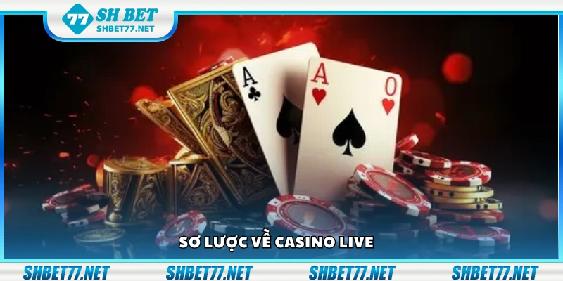 Bao quát về casino live