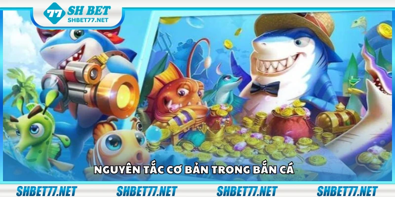 Các nguyên tắc cơ bản trong bắn cá