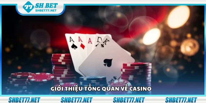 Thông tin tổng quan về casino